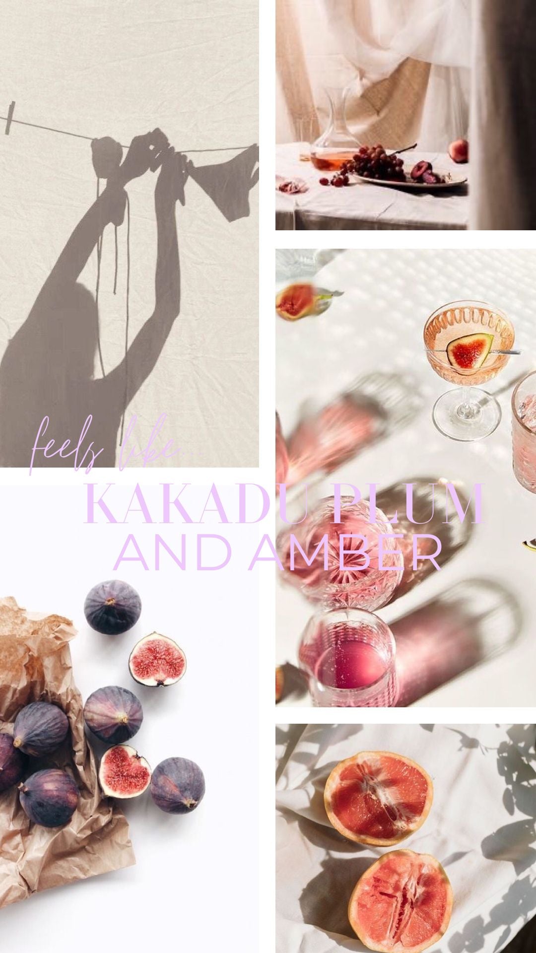 Kakadu Plum and Amber Glowy Body Oil