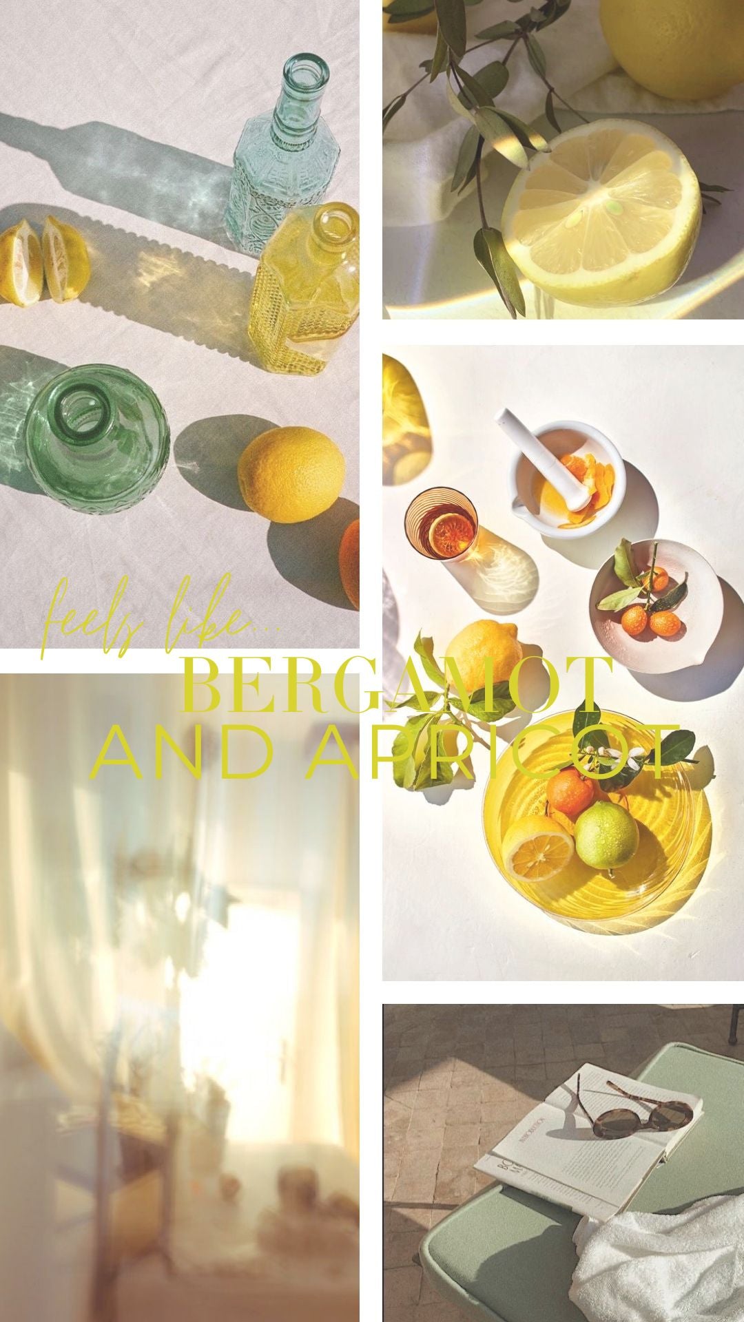 Bergamot and Apricot Glowy Body Oil